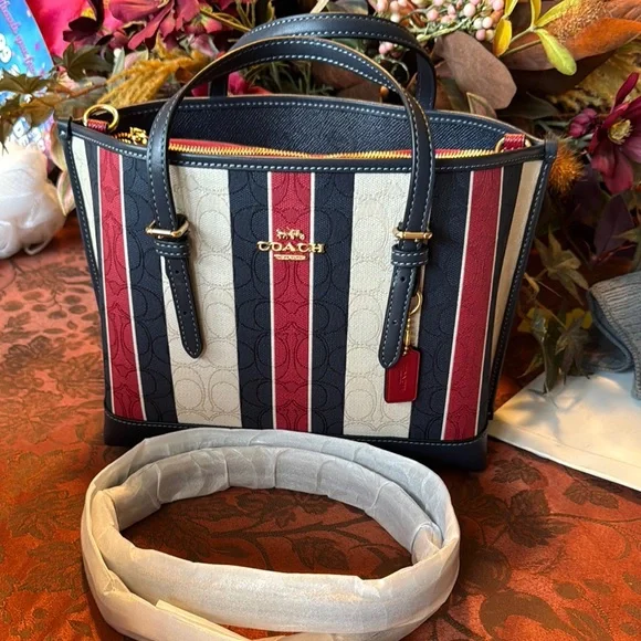 Coach Multicolor Striped Women's Bag - Picture 5 of 16
